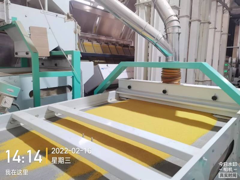 金谷小米，黄小米，米油多，零添加，质量保证，厂家直供