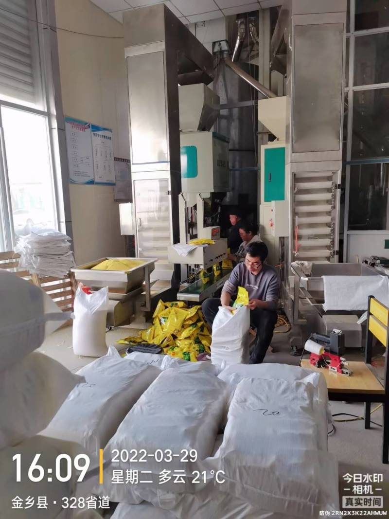 金谷小米，黄小米，米油多，零添加，质量保证，厂家直供
