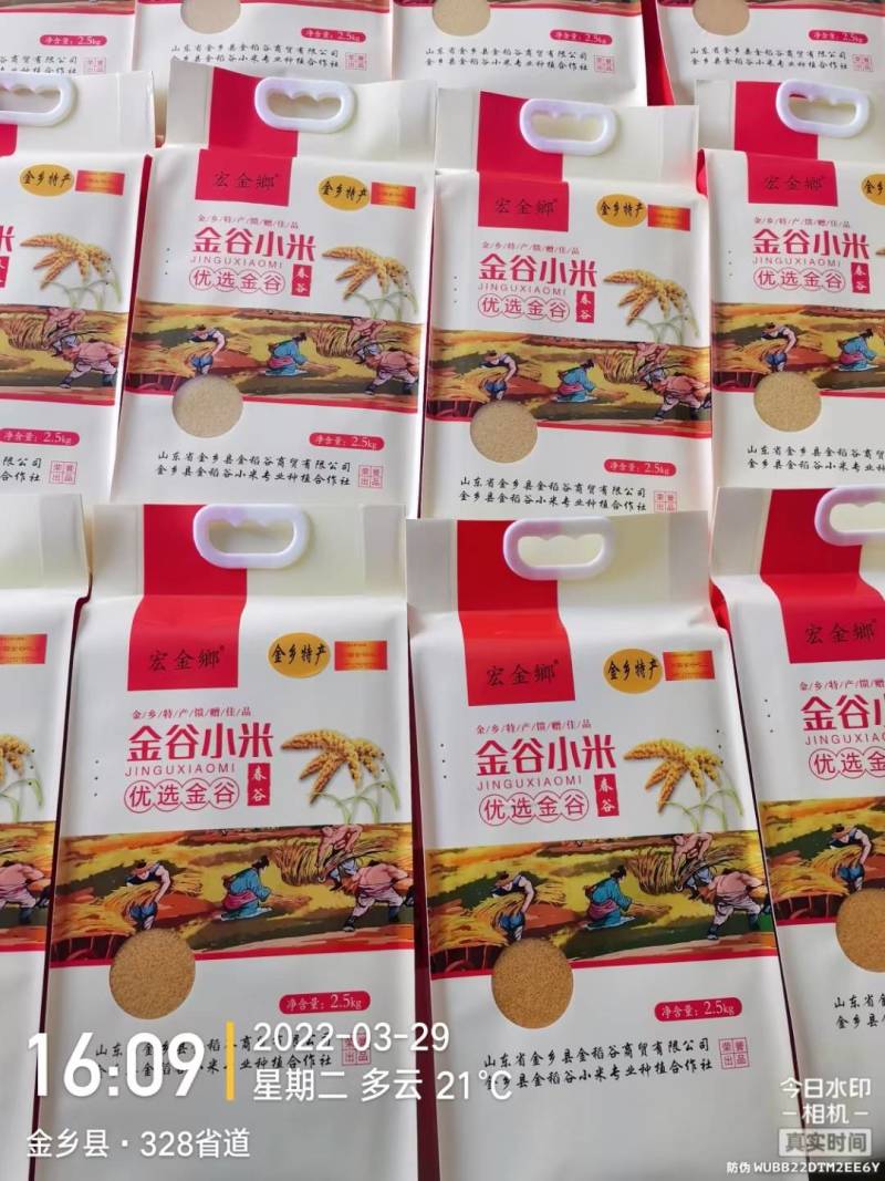 金谷小米，黄小米，米油多，零添加，质量保证，厂家直供