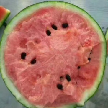 冰糖翠玉，蓝籽，2k等