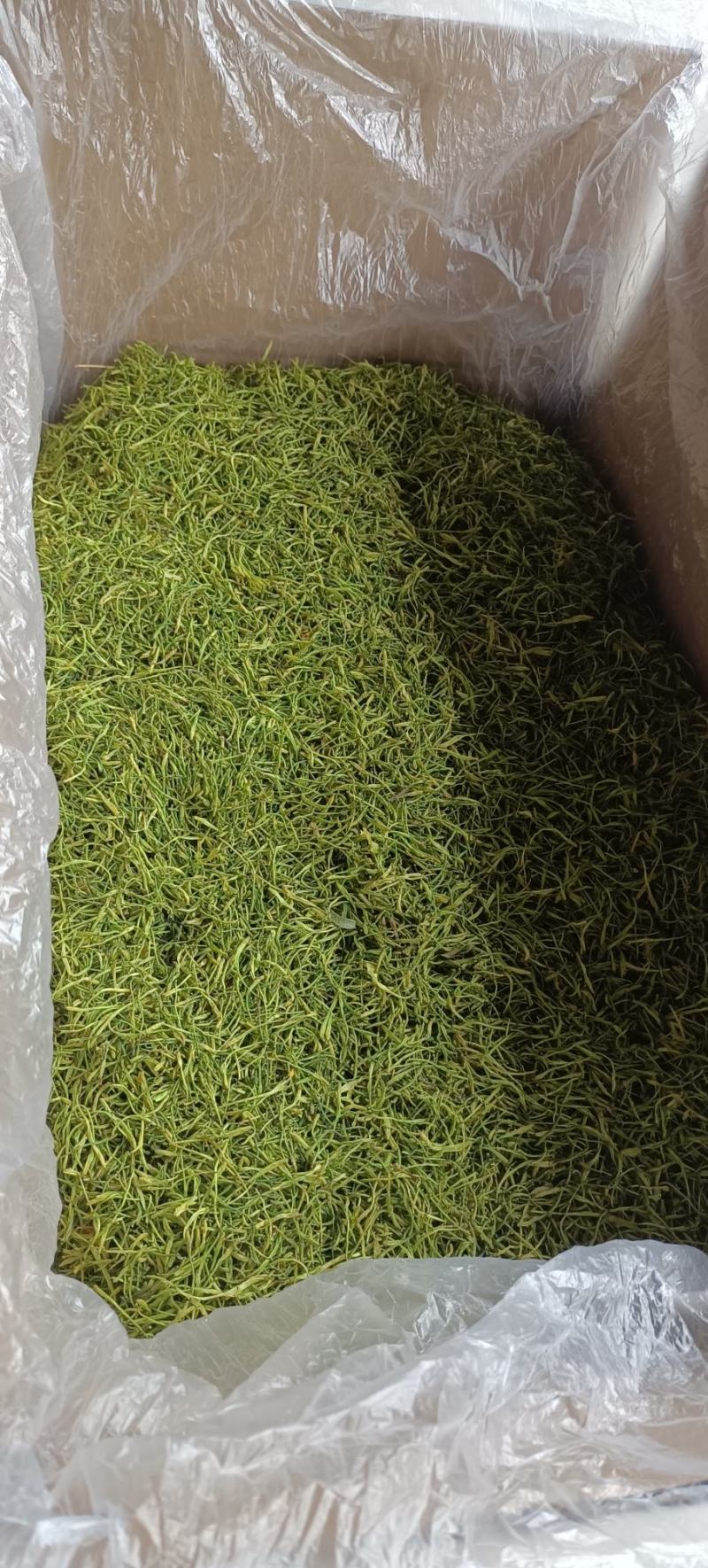 湖南金银花青茶五彩花现货供应库存充足大货批发