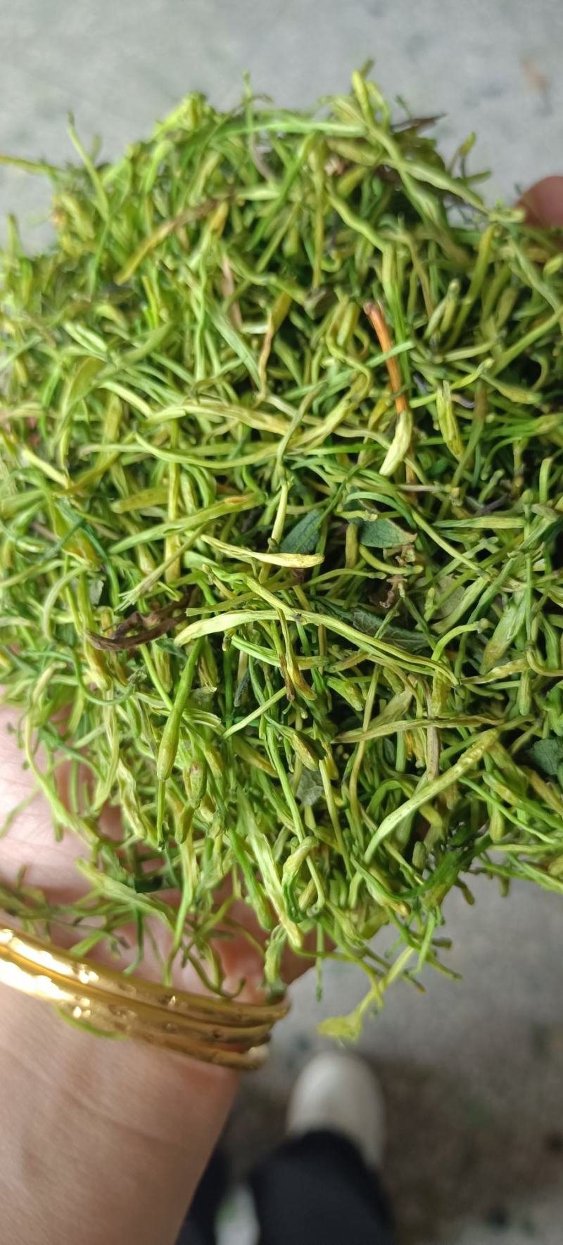 湖南金银花青茶五彩花现货供应库存充足大货批发