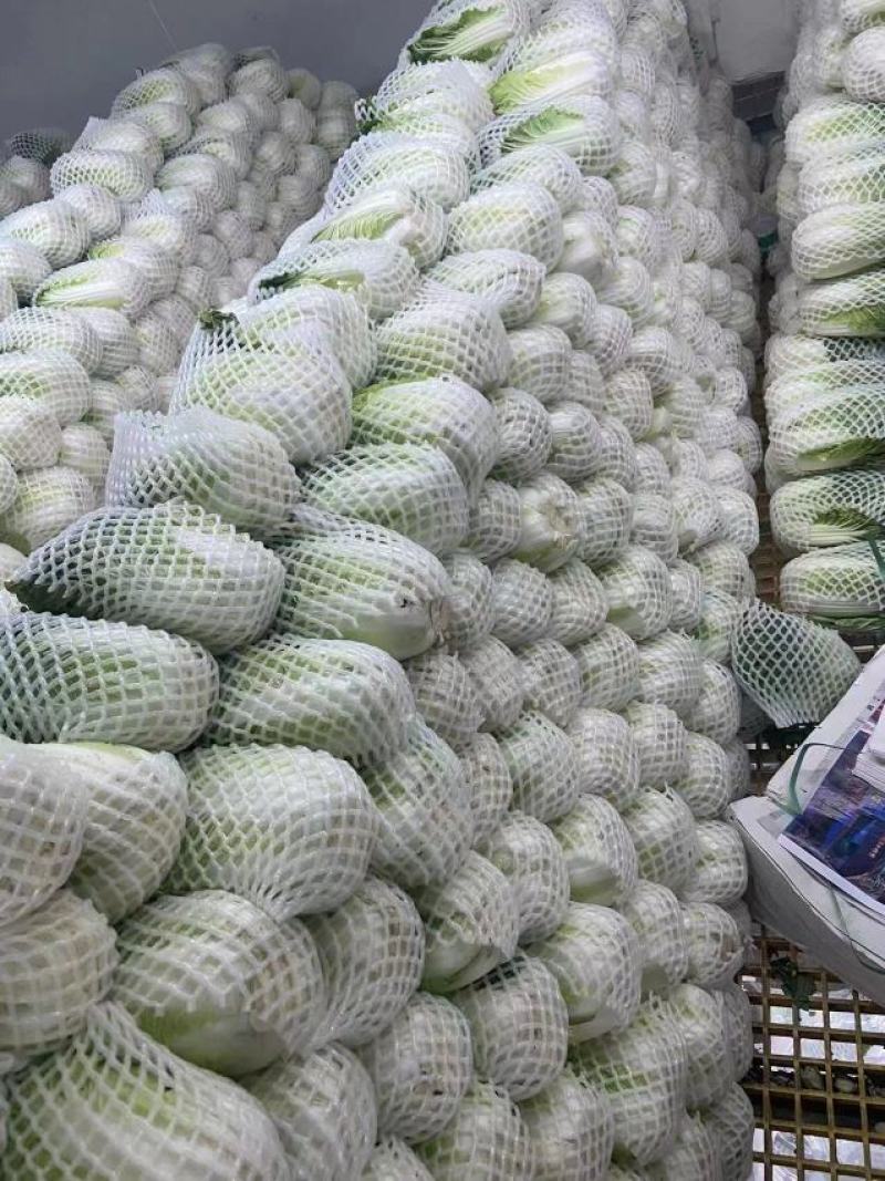 贵州大白菜，出口标准，可长期供应