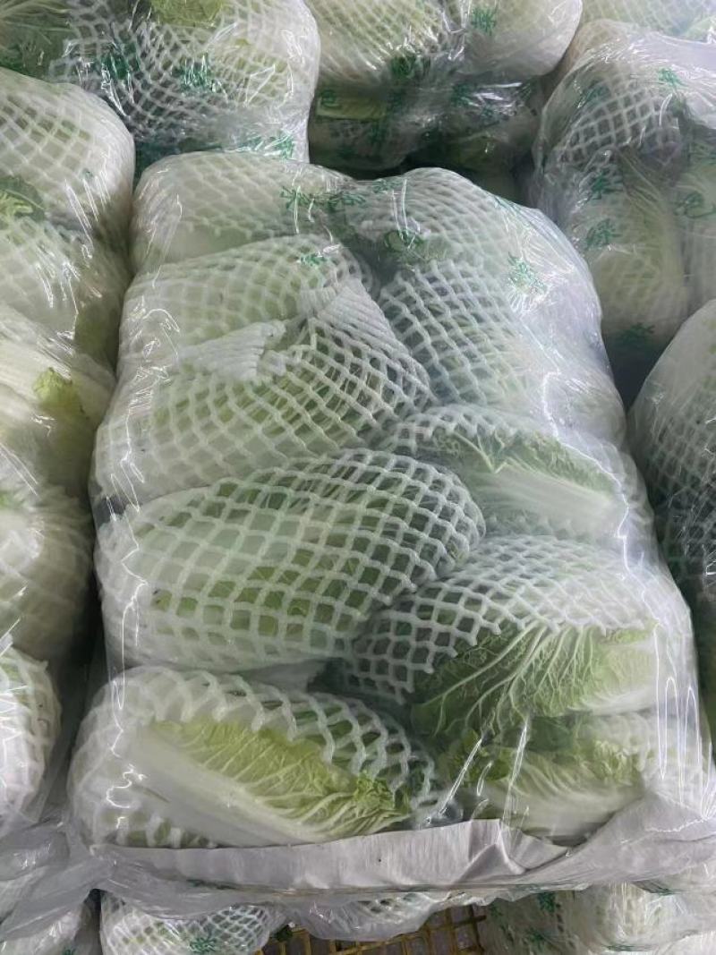 贵州大白菜，出口标准，可长期供应