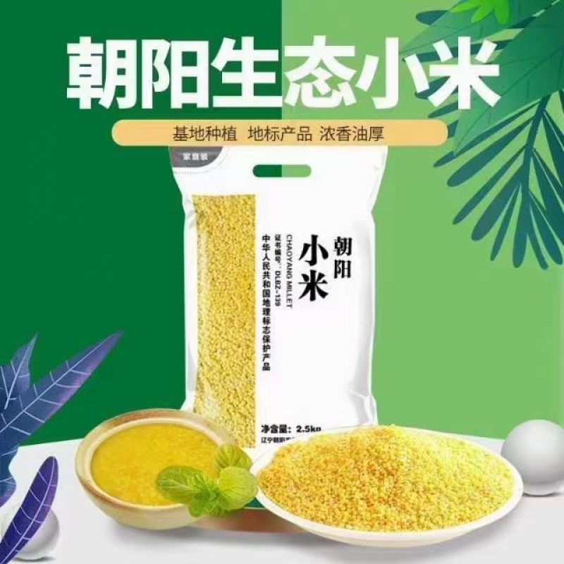 朝阳优质小米杂粮，家庭装，伴手礼，红谷子礼盒