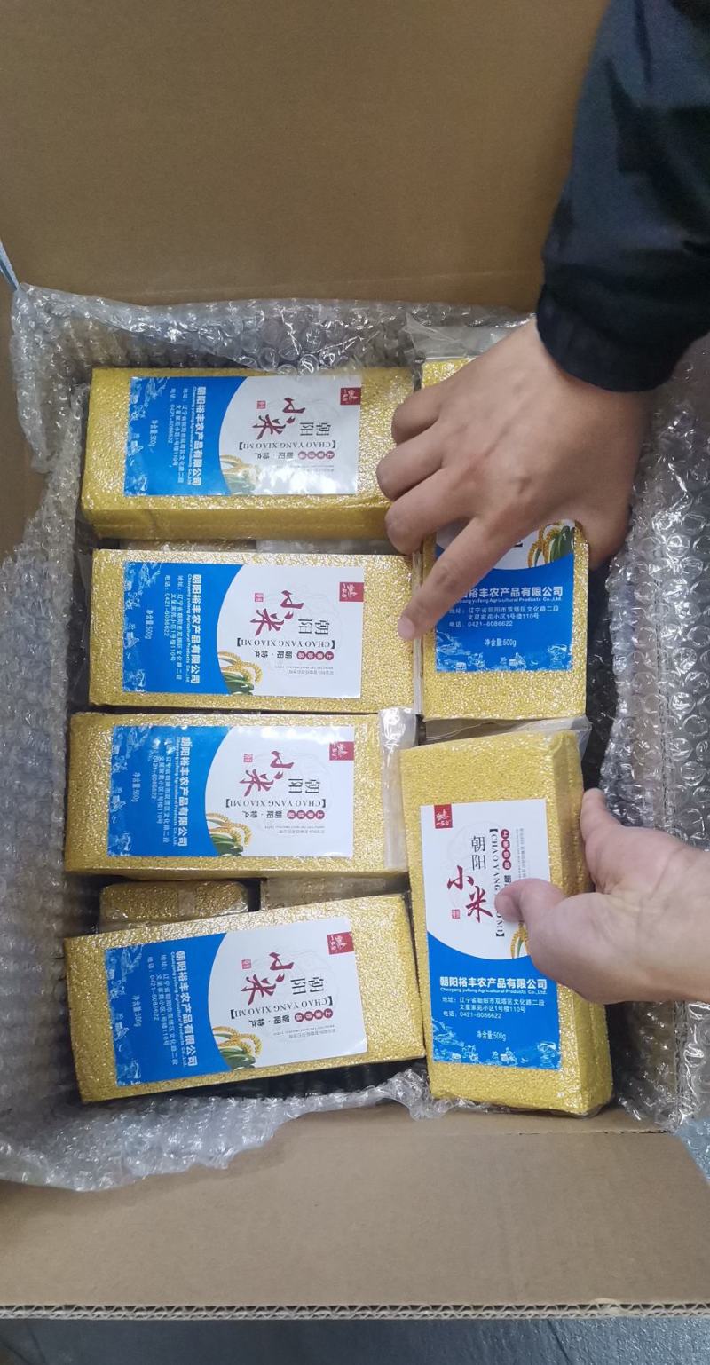 朝阳优质小米杂粮，家庭装，伴手礼，红谷子礼盒