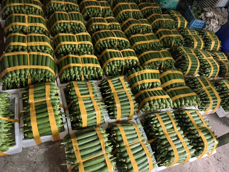 丝瓜