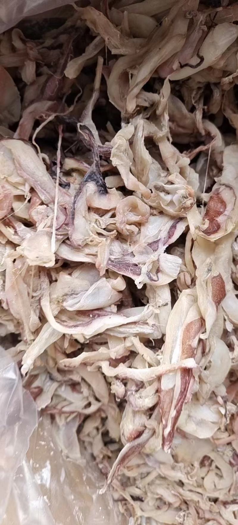 北海鱿鱼片鱿鱼边丝鱿鱼干鱿鱼边角料地摊跑江湖货源
