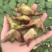 菱角米