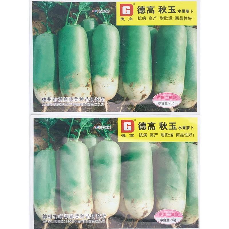 德高秋玉水果萝卜种子耐寒里外青青皮青肉脆甜萝卜种子20克
