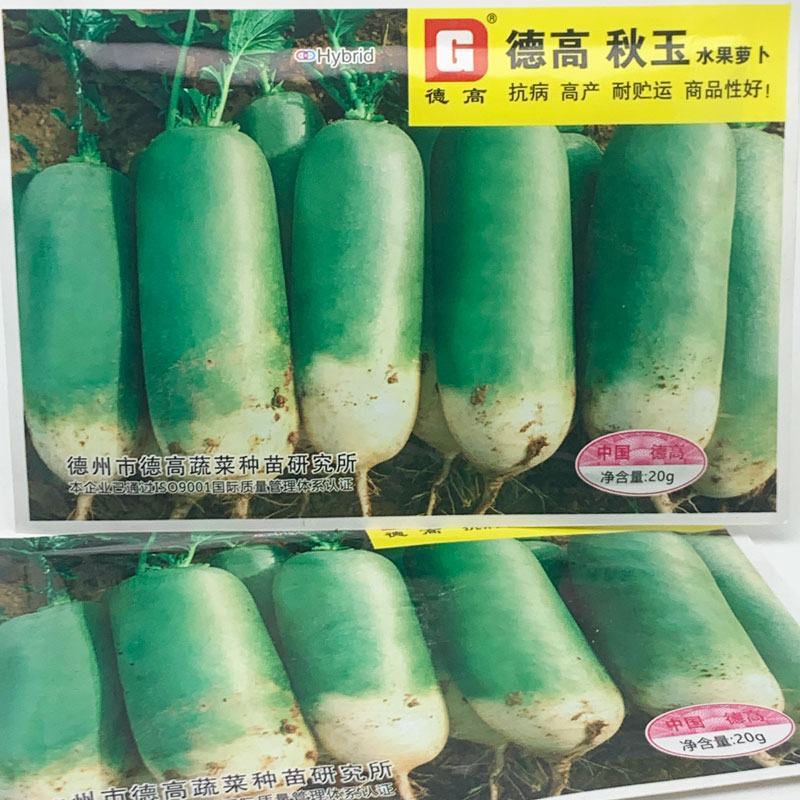 德高秋玉水果萝卜种子耐寒里外青青皮青肉脆甜萝卜种子20克