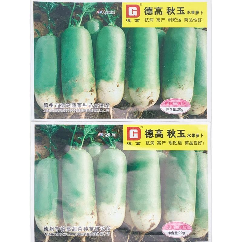 德高秋玉水果萝卜种子耐寒里外青青皮青肉脆甜萝卜种子20克