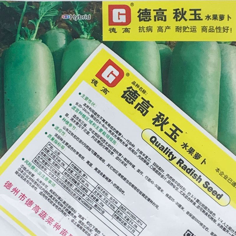 德高秋玉水果萝卜种子耐寒里外青青皮青肉脆甜萝卜种子20克