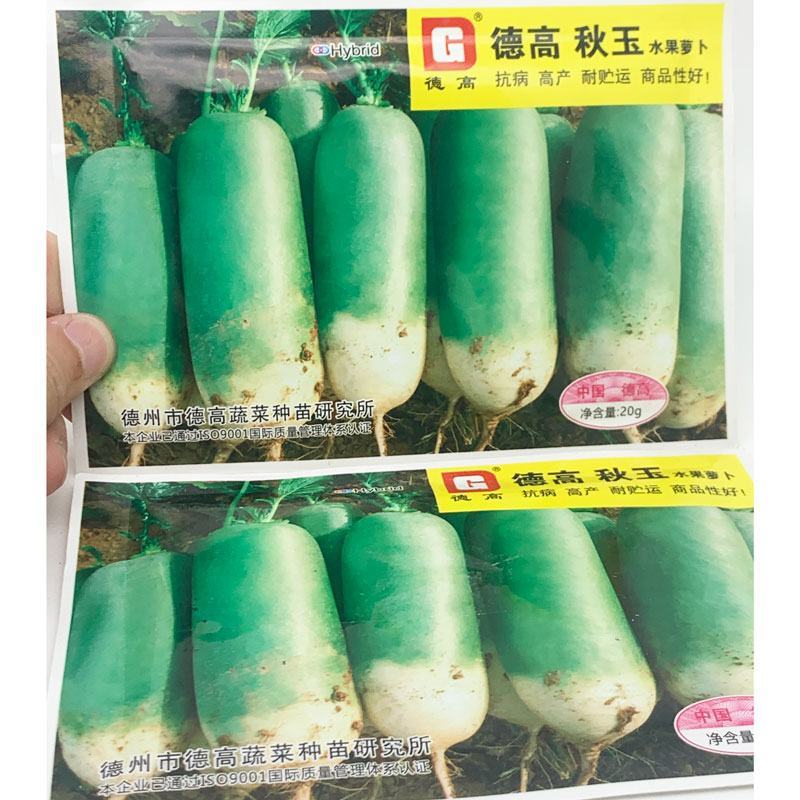 德高秋玉水果萝卜种子耐寒里外青青皮青肉脆甜萝卜种子20克