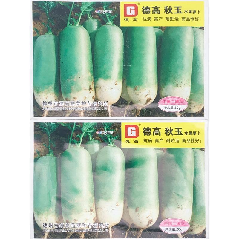 德高秋玉水果萝卜种子耐寒里外青青皮青肉脆甜萝卜种子20克