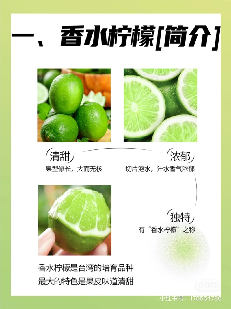 广东香水柠檬