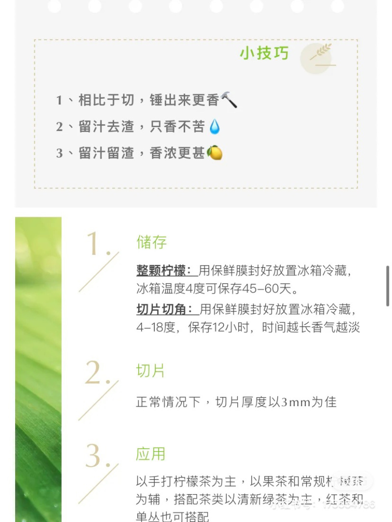 广东香水柠檬