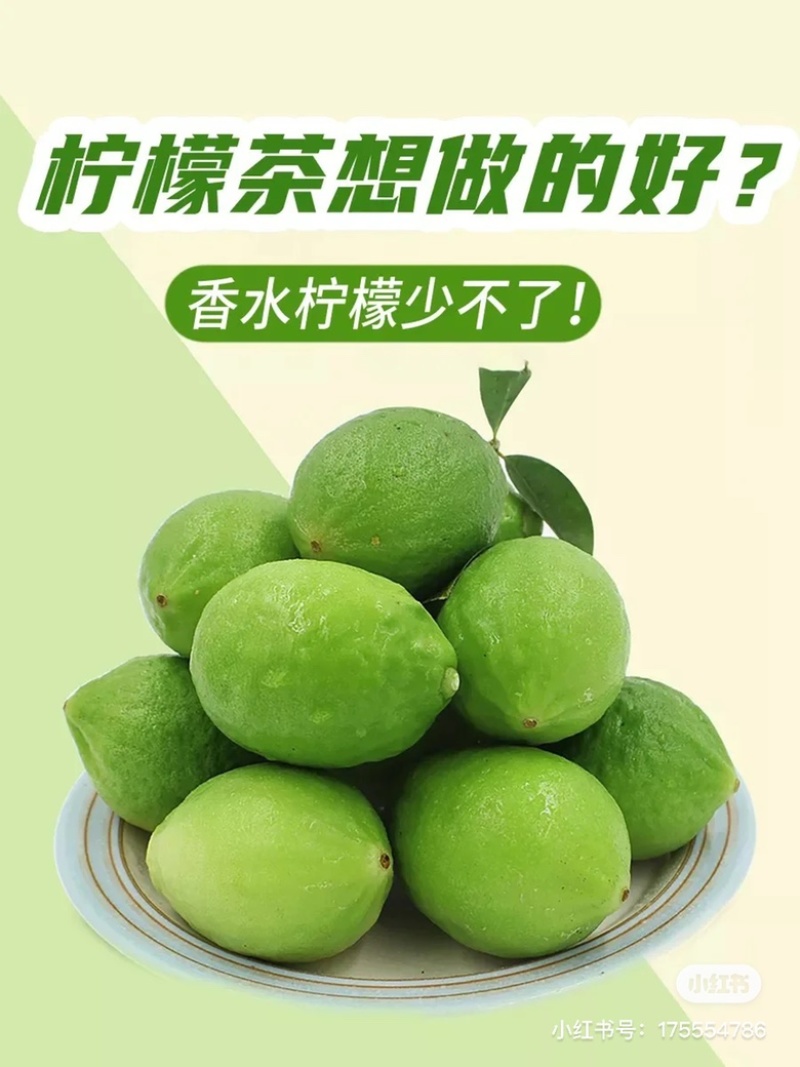 广东香水柠檬