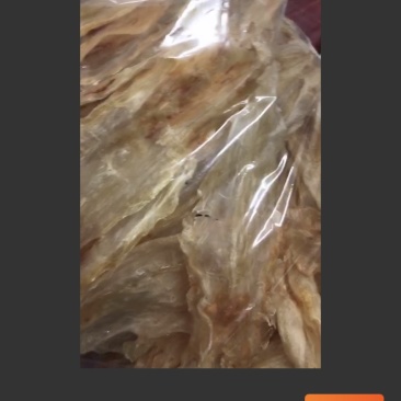 深海鱼胶