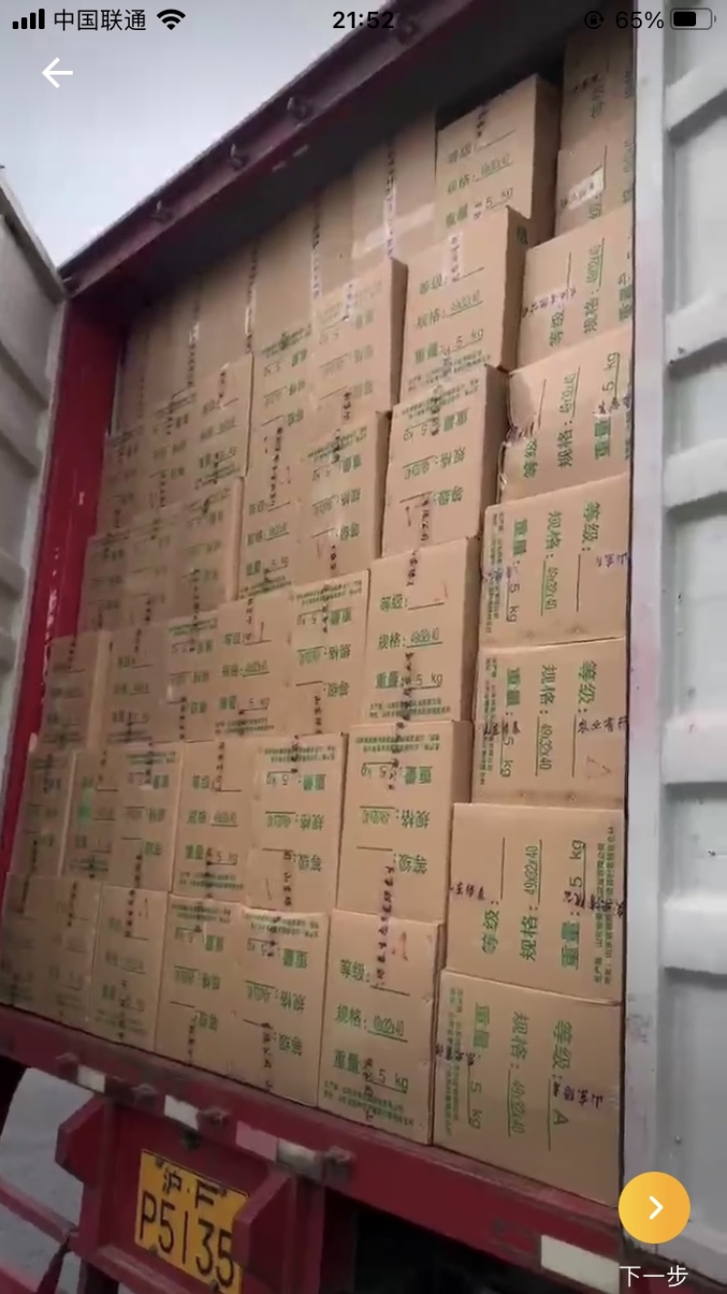 绿泰鹿茸菇