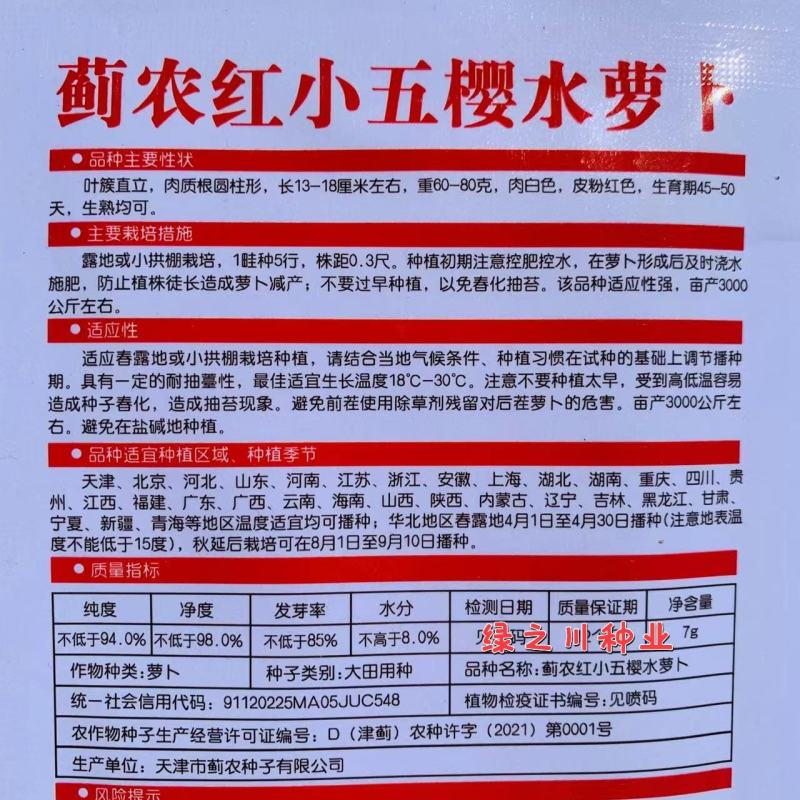 蓟农红小五樱水萝卜种子春秋红皮萝卜种子肉白皮粉红色