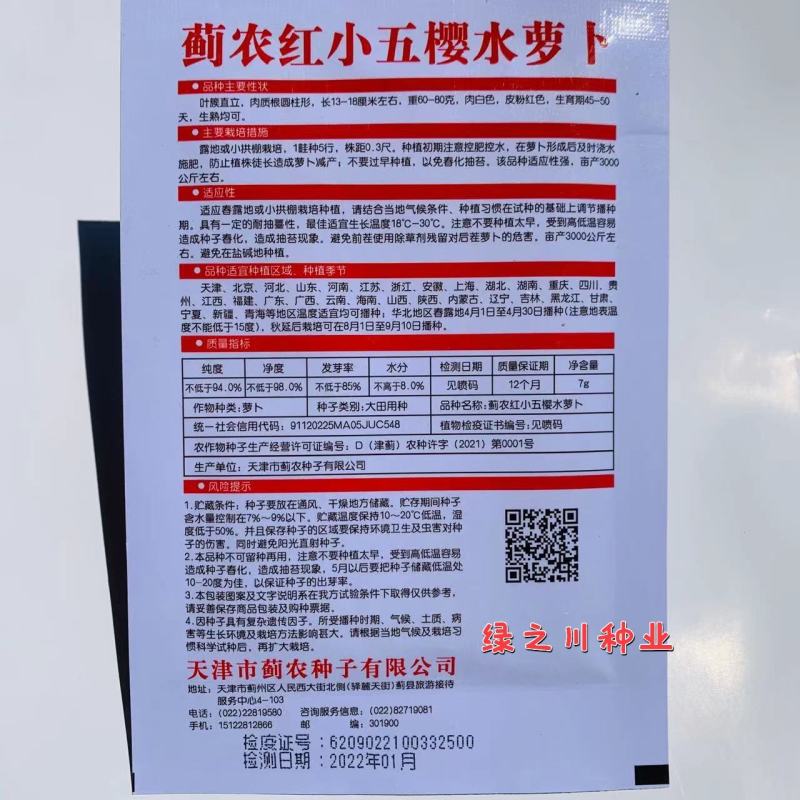 蓟农红小五樱水萝卜种子春秋红皮萝卜种子肉白皮粉红色