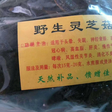 野生灵芝