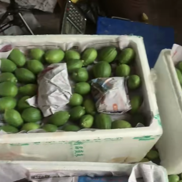 奶茶店合作香水柠檬，二级