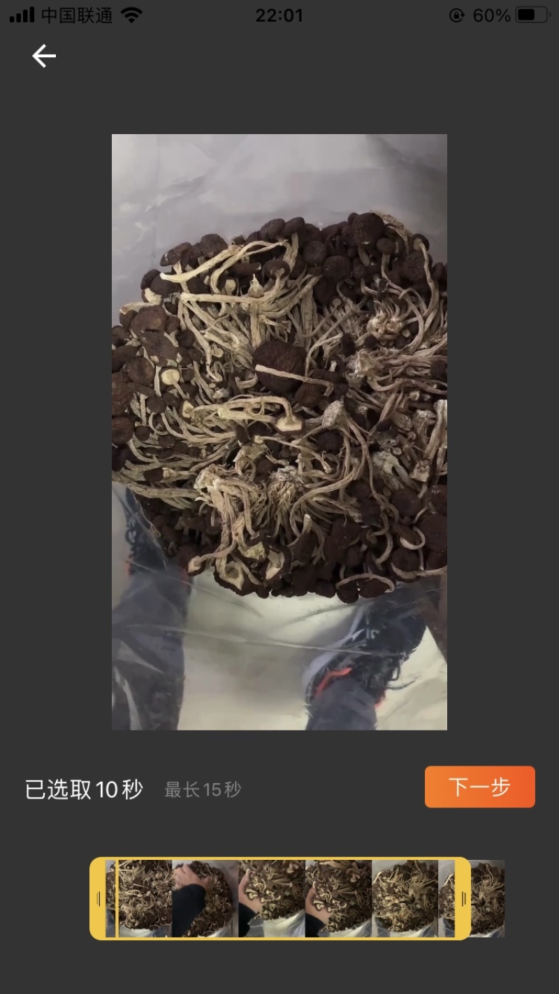 茶树菇