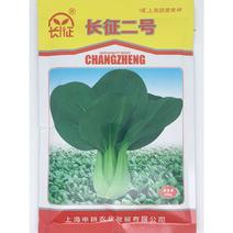 长征二号青梗菜青菜种子耐热耐寒夏季上海青种200克原装