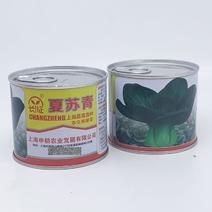 长征夏苏青青菜种子耐热耐湿黑叶油亮上海青种子100克原装