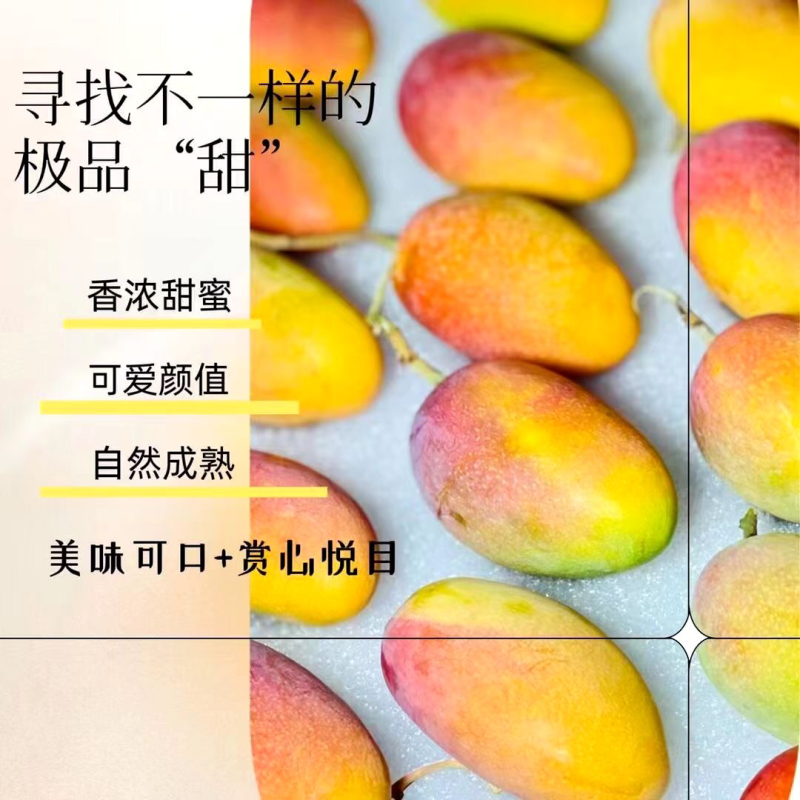 贵妃芒