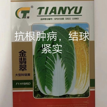 黄心白菜种子金翡翠（大型玲珑黄）白菜种子~进口品种早