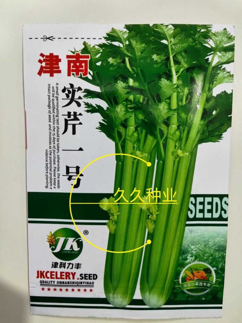 津南实芹一号芹菜种子四季香芹种籽玻璃脆芹白玉亲小香芹籽