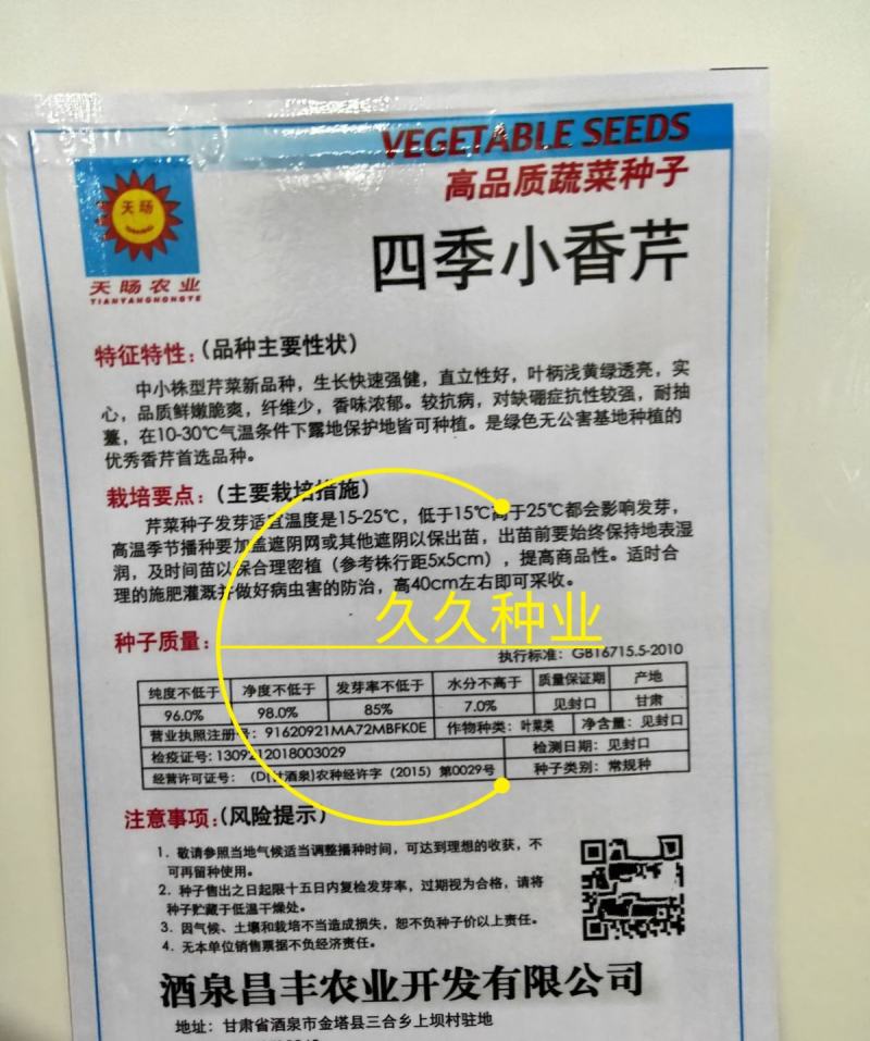 四季小香芹种子芹菜种子香味浓郁实心芹菜种子四季播农家蔬菜