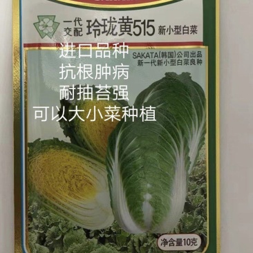 玲珑黄515黄心娃娃菜种子早熟水分含量低囗感好商品性强