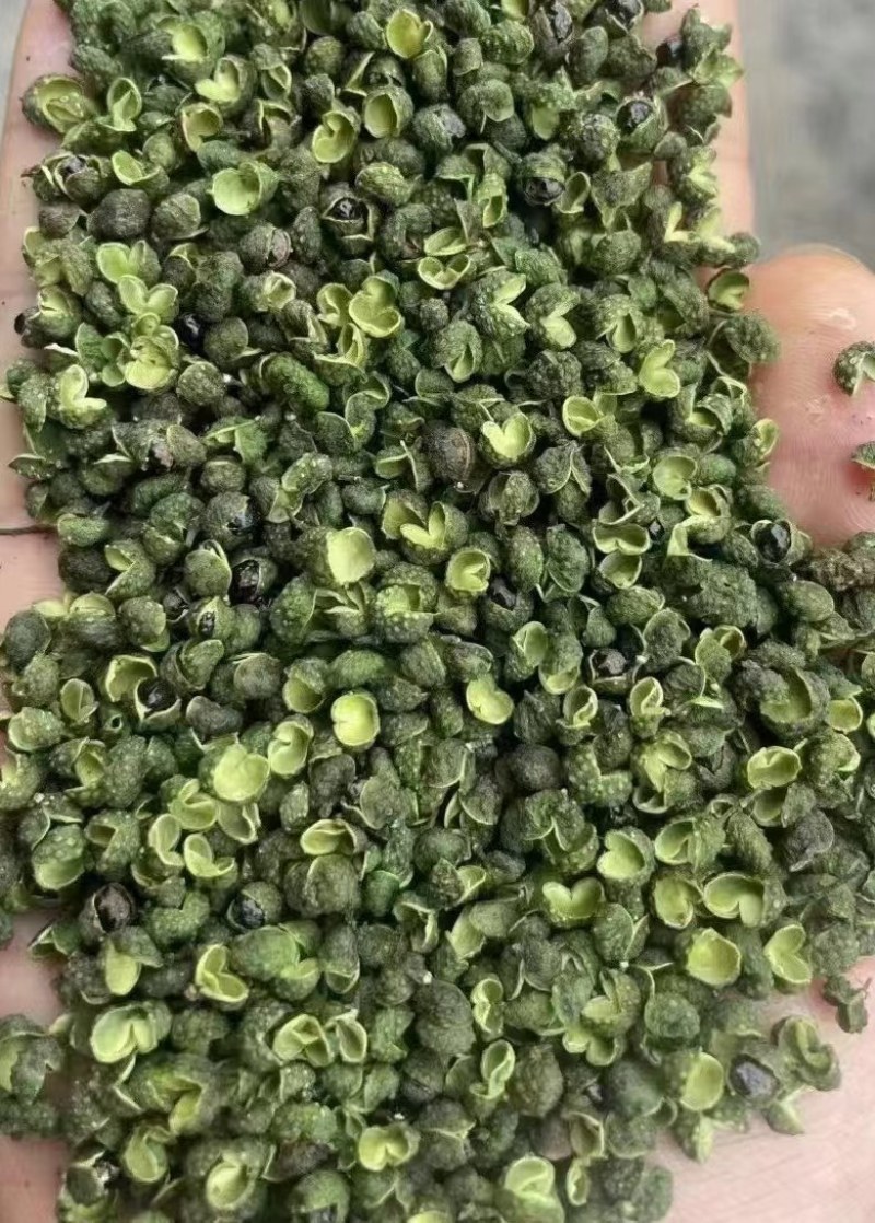 【推荐】花椒青花椒超麻花椒产地直销开口率高
