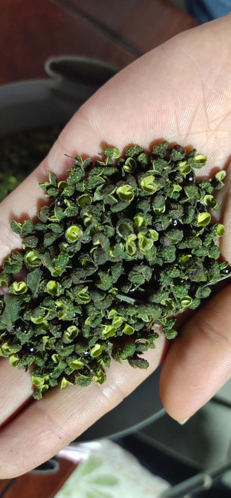 【推荐】花椒青花椒超麻花椒产地直销开口率高