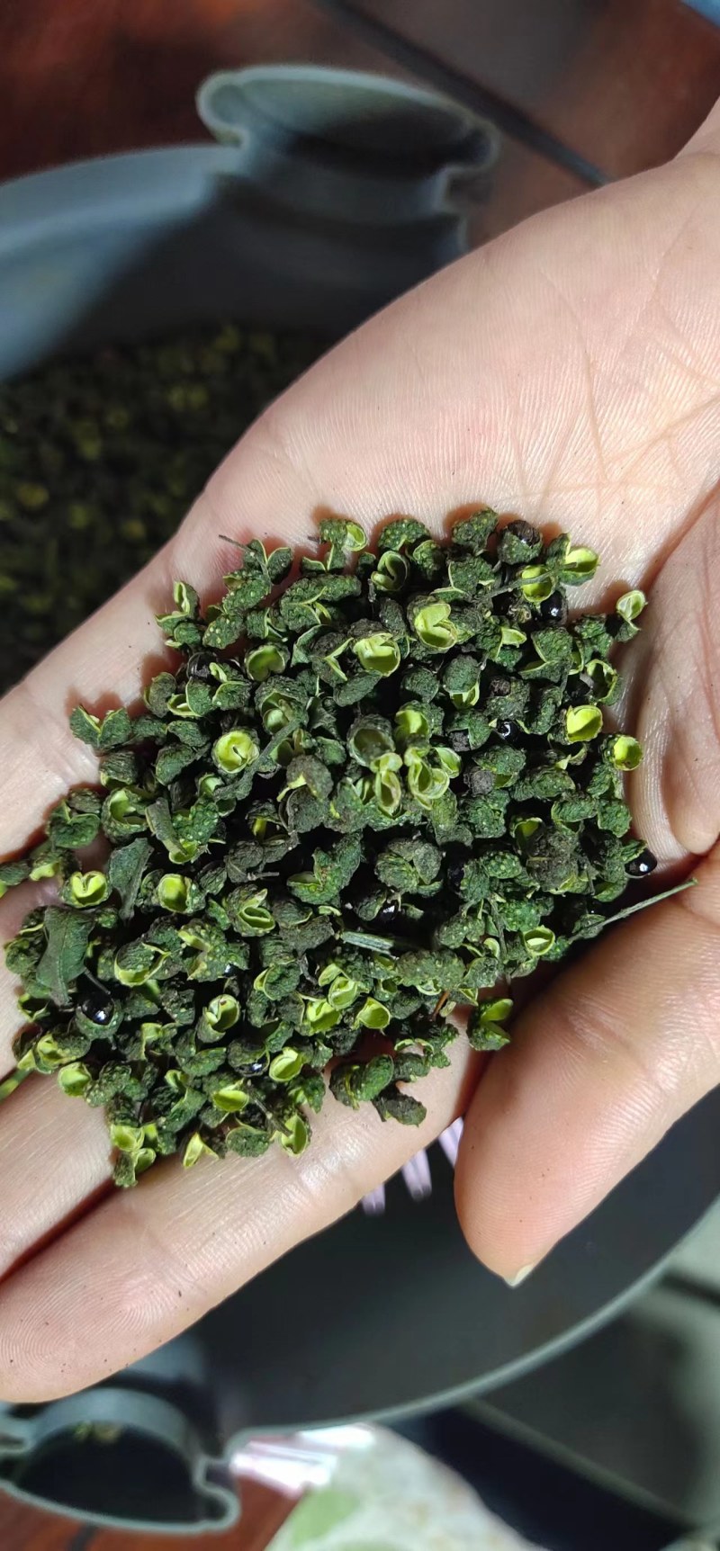 【推荐】花椒青花椒超麻花椒产地直销开口率高