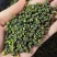 【推荐】花椒青花椒超麻花椒产地直销开口率高