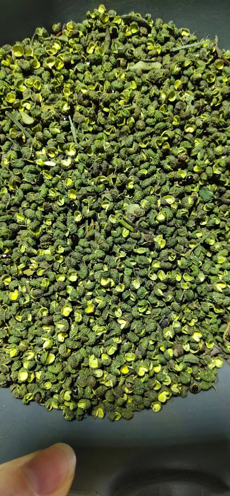 【推荐】花椒青花椒超麻花椒产地直销开口率高