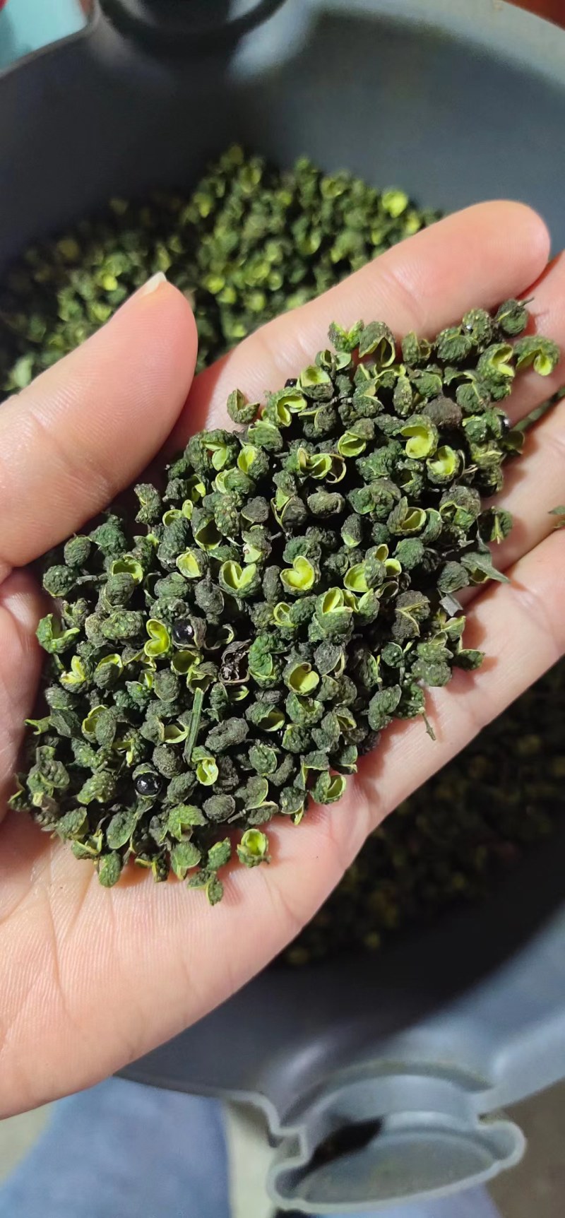 【推荐】花椒青花椒超麻花椒产地直销开口率高
