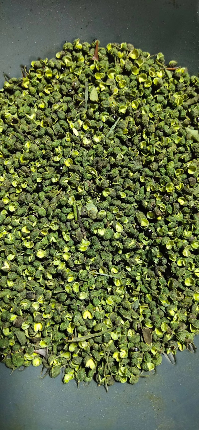 【推荐】花椒青花椒超麻花椒产地直销开口率高