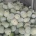 水果冬瓜粉皮冬瓜
