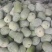 水果冬瓜粉皮冬瓜