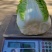 2号黄心大白菜种子单菜2.5公斤结球紧实囗感商品性