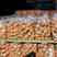 红萝卜大量上市，基地直供，百万亩基地，提供各种规格，服务