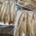 沙丁鱼船冻沙尖鱼饭店排档优质海鲜食材