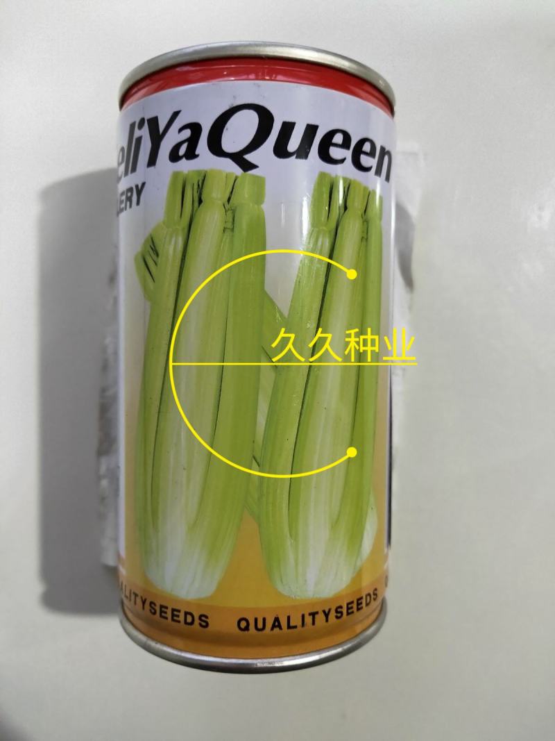 进口皇后西芹种子芹菜种子美国西芹法国西芹蔬菜种子耐高低温