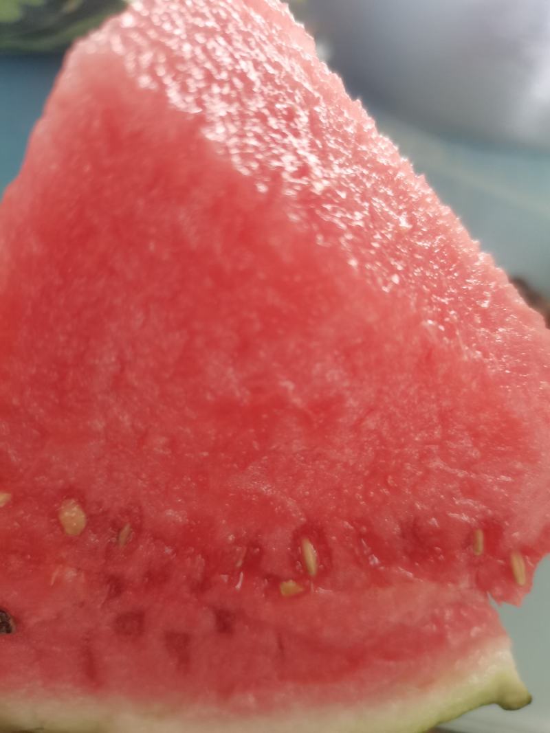 美都西瓜